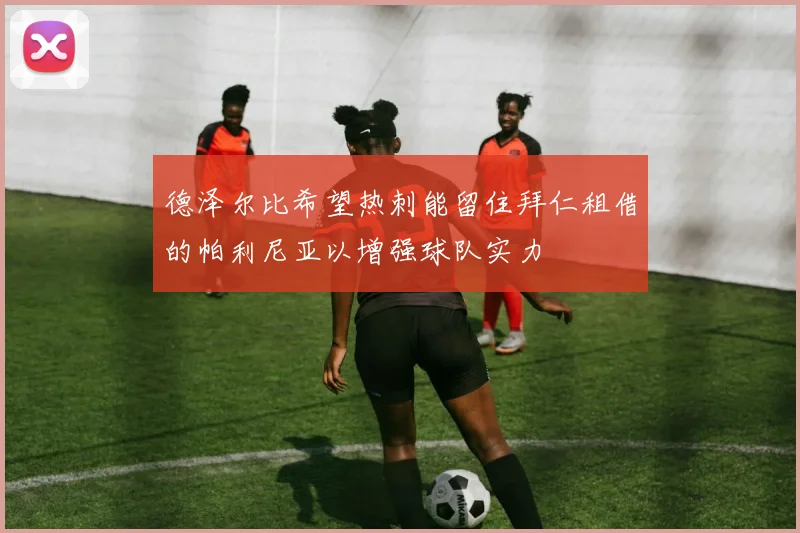 德泽尔比希望热刺能留住拜仁租借的帕利尼亚以增强球队实力