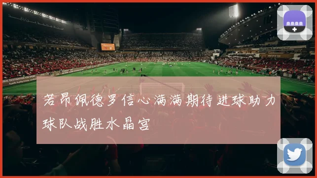 若昂佩德罗信心满满期待进球助力球队战胜水晶宫