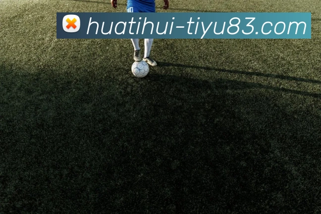 华体会体育APP 封面图